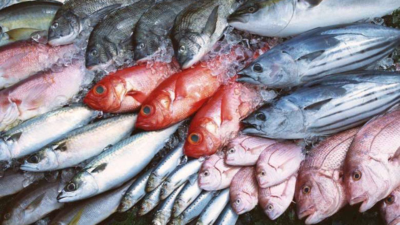 5 tips para asegurarte de comprar el pescado más fresco 