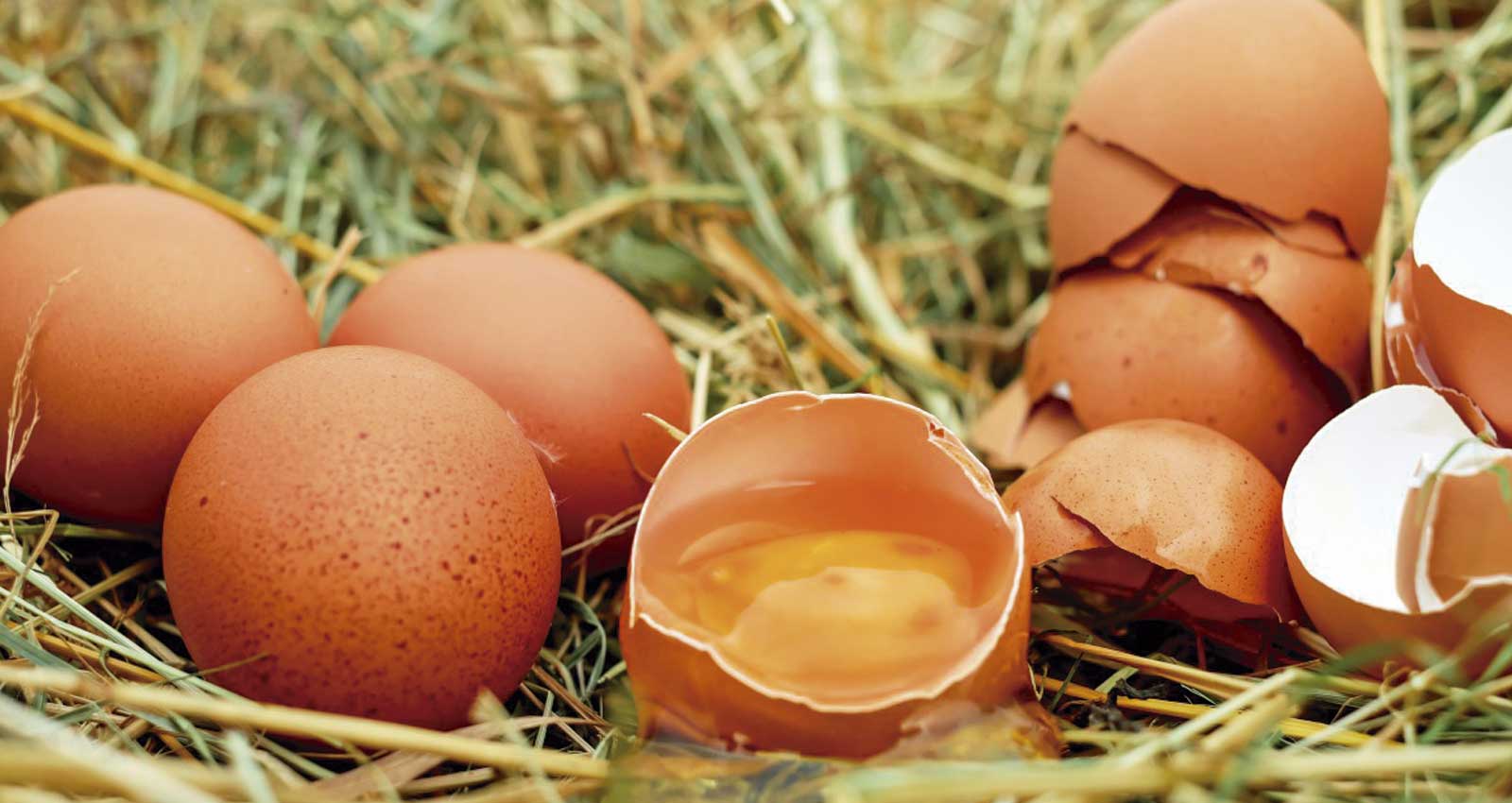 La mejor manera de conservar los huevos frescos y que sea seguro