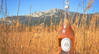 6 nuevos vinos rosados para disfrutar en primavera