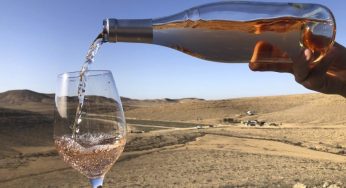 Negev, los vinos del desierto